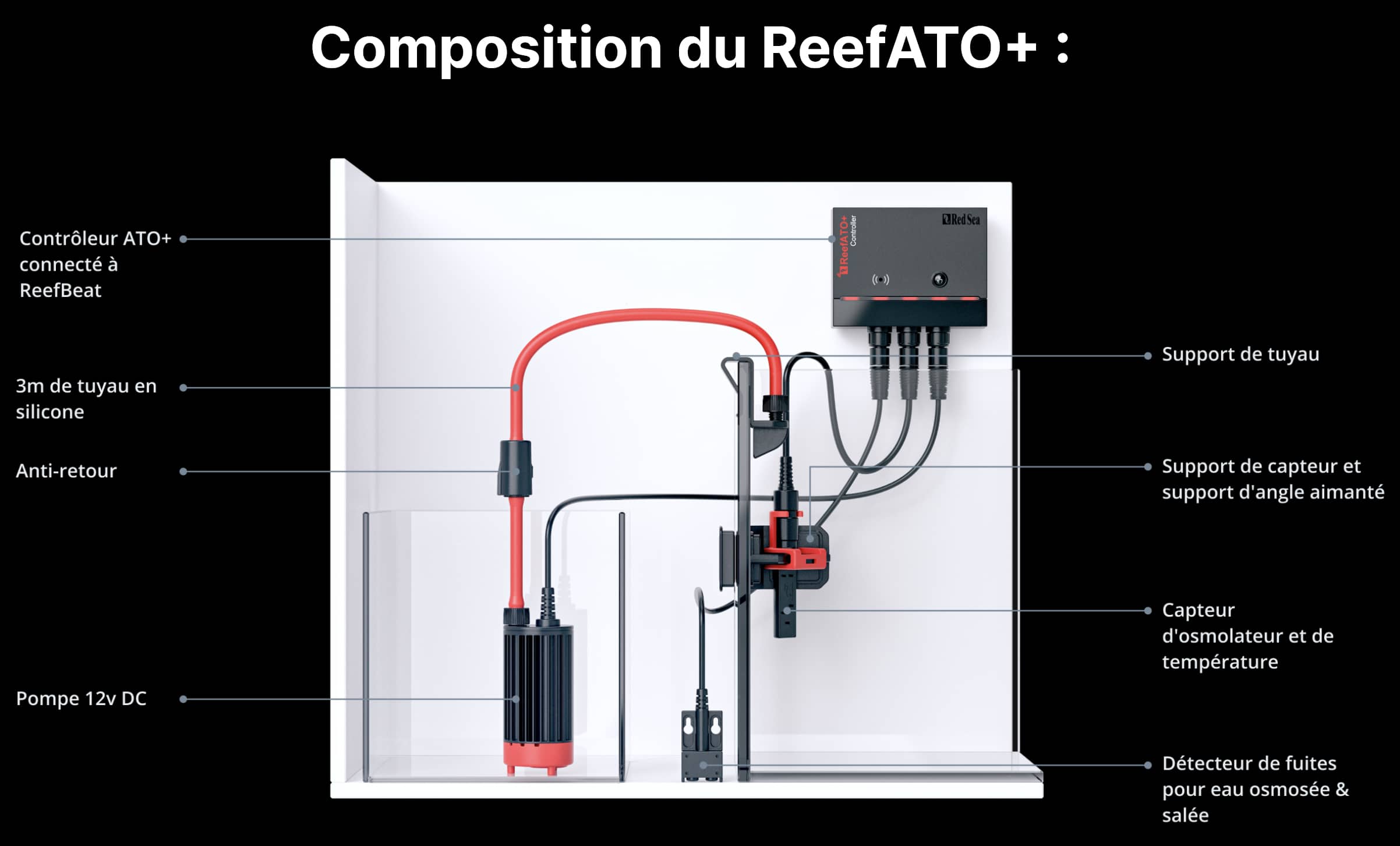 Composition du reef ATO